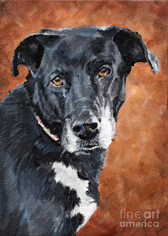 Pet Portrait Poster featuring the painting Darcy - Black Dog by Annie Troe