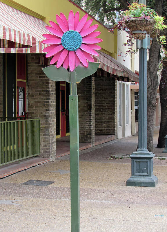 San Antonio Texas Poster featuring the photograph Delightful Street in San Antonio Texas by Roberta Byram