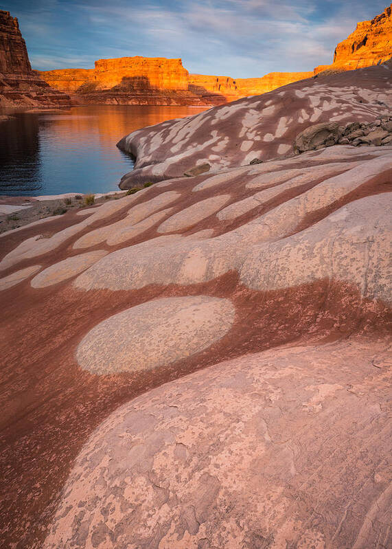 Bradley Cove Poster featuring the photograph Dots by Peter Boehringer