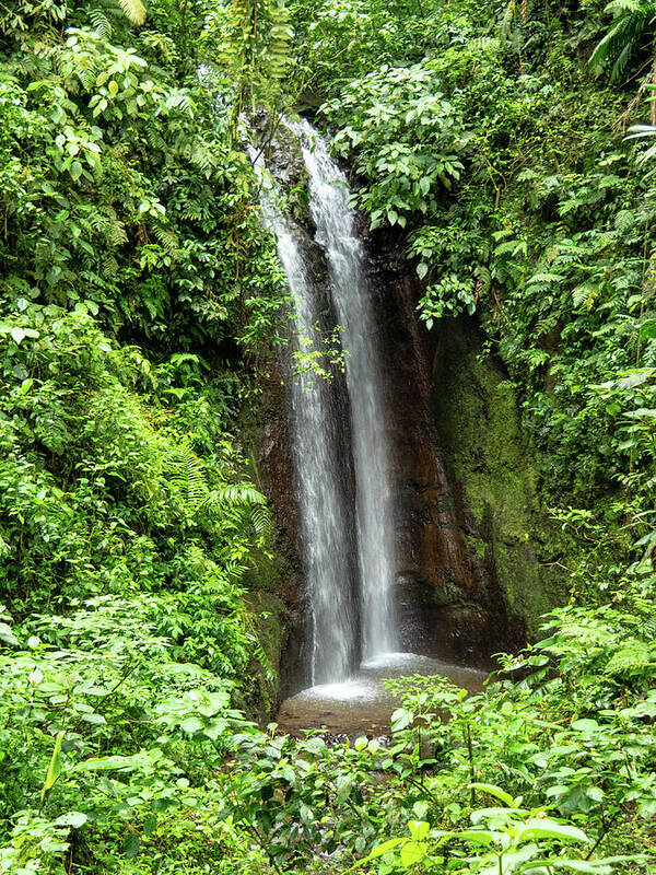 Costa Rica Poster featuring the photograph Double Falls, Costa Rica by Leslie Struxness