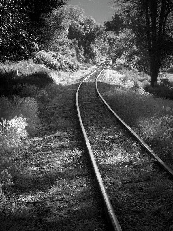 Durango Poster featuring the photograph Durango Narrow Gauge Rail by Mary Lee Dereske