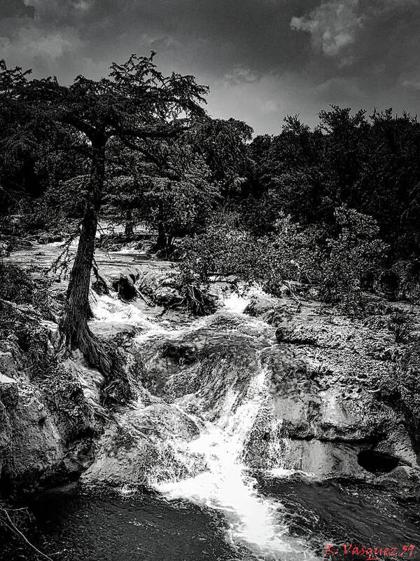 Tree Poster featuring the photograph Edge Falls Boerne, TX BW by Rene Vasquez