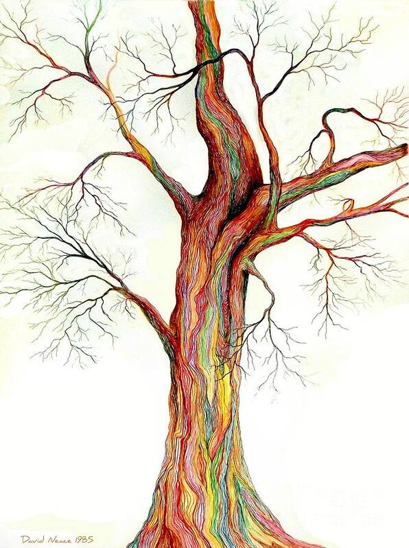 Drawing Of Tree Poster featuring the drawing Electric Tree by David Neace