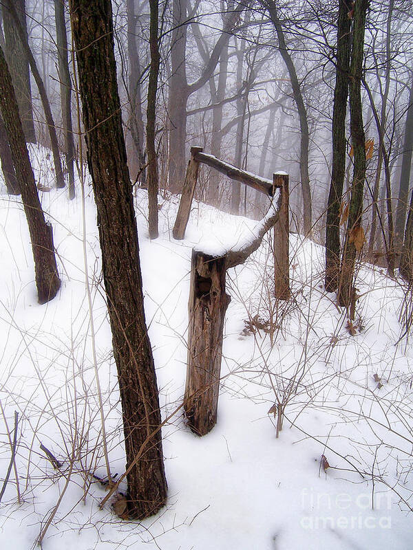 Fence Poster featuring the photograph Fence In Forest In Winter by Phil Perkins