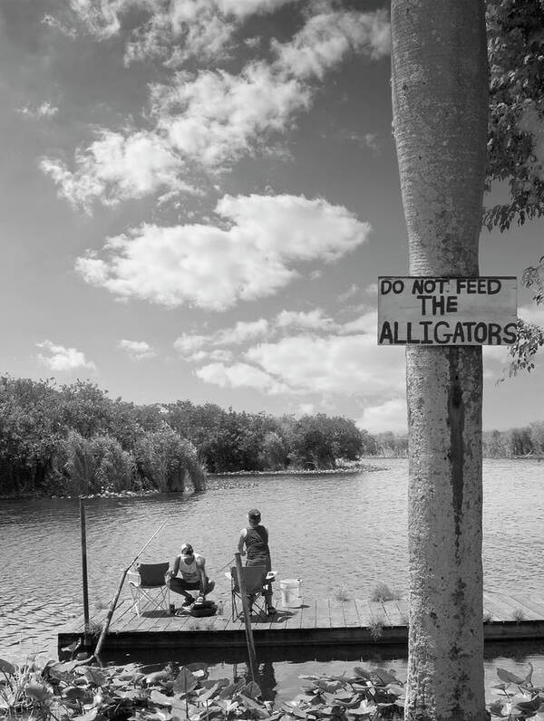 Alligator Sign Photo Poster featuring the photograph Fishing with the Florida Gators BW by Bob Pardue