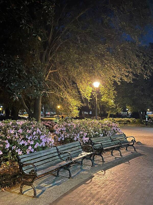 Park Poster featuring the photograph Forsyth Benches by Barbara Von Pagel