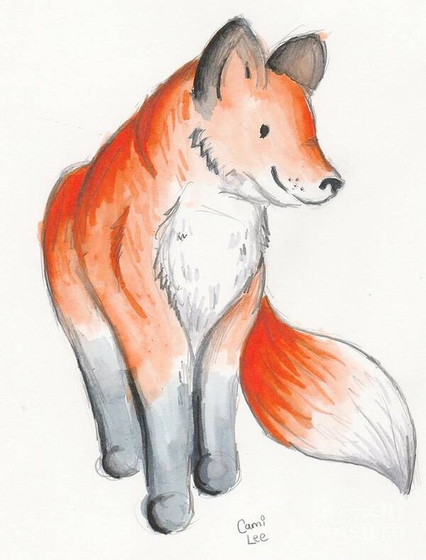 Orange Poster featuring the drawing Fox by Cami Lee