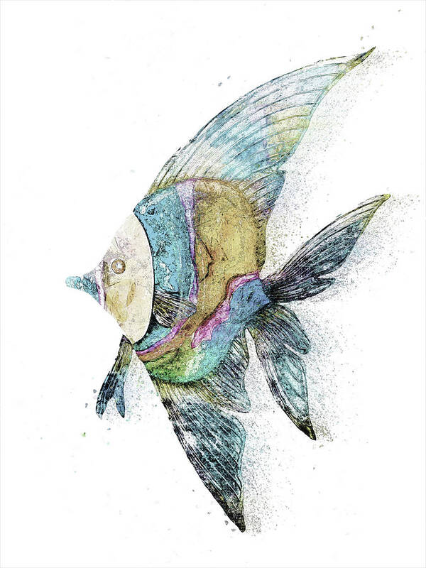 Angelfish Poster featuring the digital art Freshwater Angelfish by Pamela Williams
