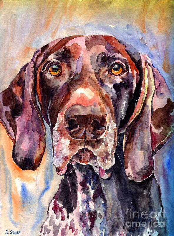 German Shorthaired Pointer Poster featuring the painting German Shorthaired Pointer by Suzann Sines