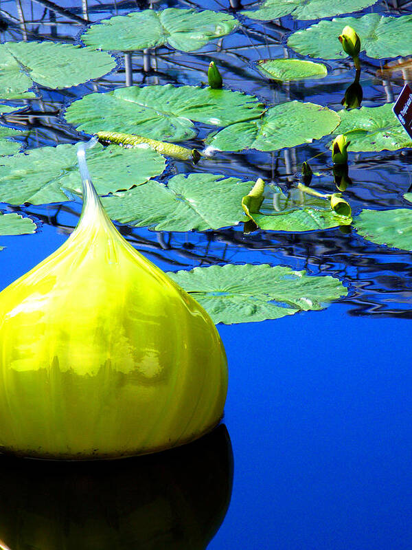 Landscape Poster featuring the photograph Glass Sculpture Water Lily Missouri Botanical Garden by Patrick Malon