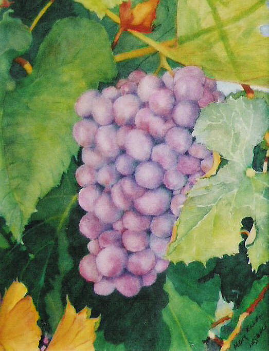Grapes Poster featuring the painting Grapes by Mary Ellen Mueller Legault