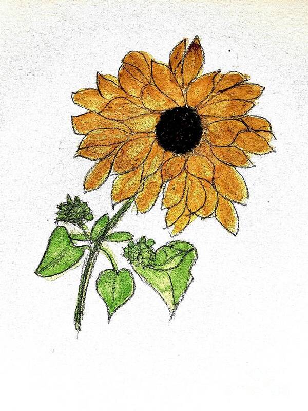 Sunflower Poster featuring the painting Grateful and Blessed by Margaret Welsh Willowsilk