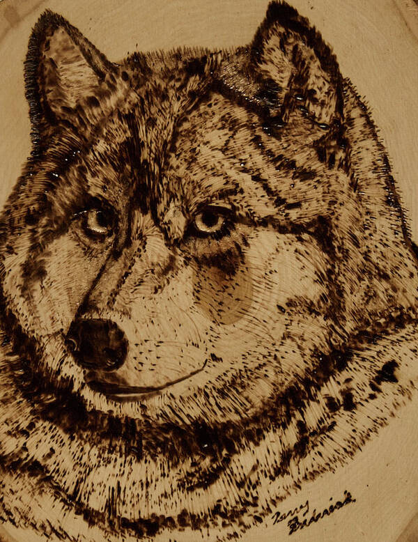 Gray Wolf Poster featuring the pyrography Gray Wolf by Terry Frederick