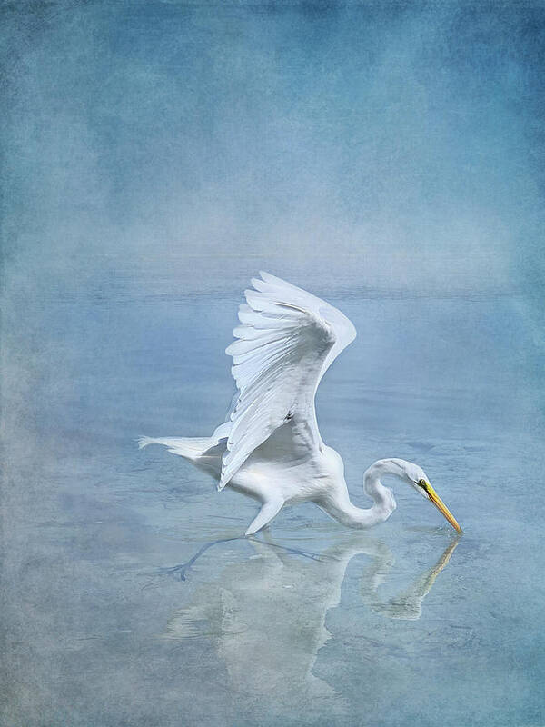 Great Egret Poster featuring the photograph Great Egret by Jill Love
