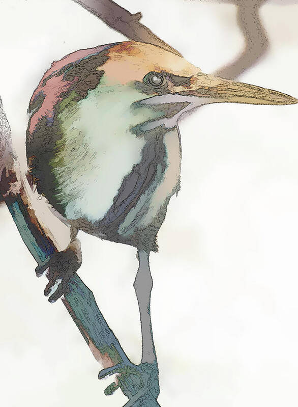 Green Heron Poster featuring the photograph Green Heron Inmuto by Jessica Levant