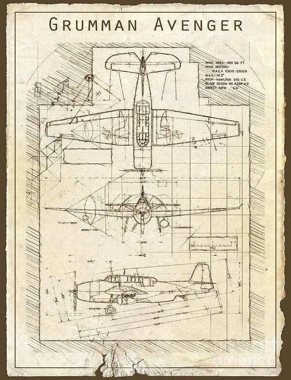Vintage Drawings Poster featuring the digital art Grumman Avenger Vintage Drawing by Franchi Torres