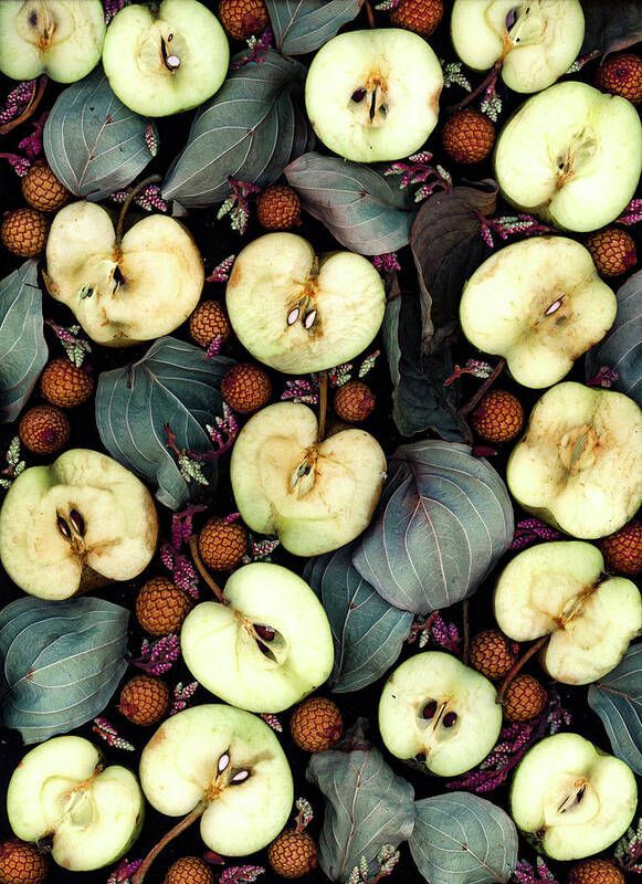 Heirloom Apples Poster featuring the photograph Heirloom Apples by Sarah Phillips