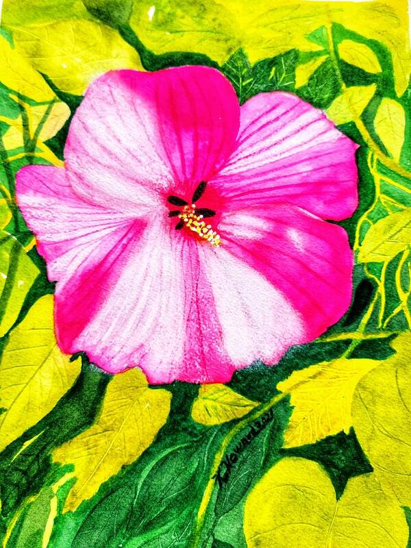 Flower Poster featuring the painting Hibiscus #1 by Shady Lane Studios-Karen Howard