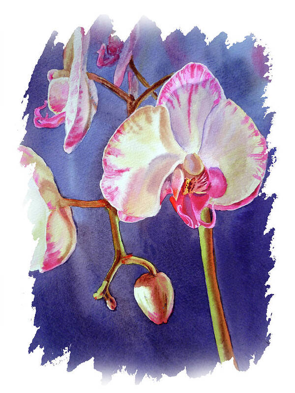 Orchid Poster featuring the painting Impulse Of Nature Watercolor Orchid Flower Free Brush Strokes VII by Irina Sztukowski