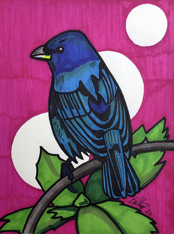 Indigo Bunting Poster featuring the drawing Indigo Bunting - Dark by Creative Spirit