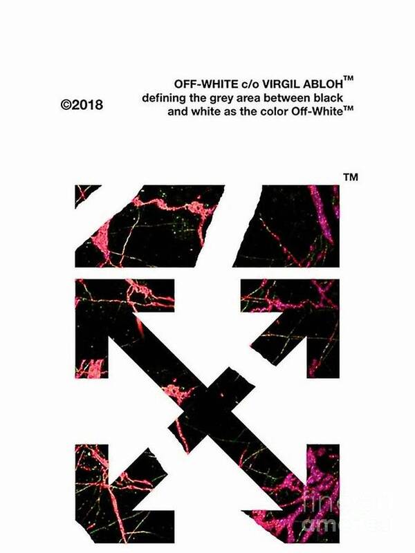 Off White Posters