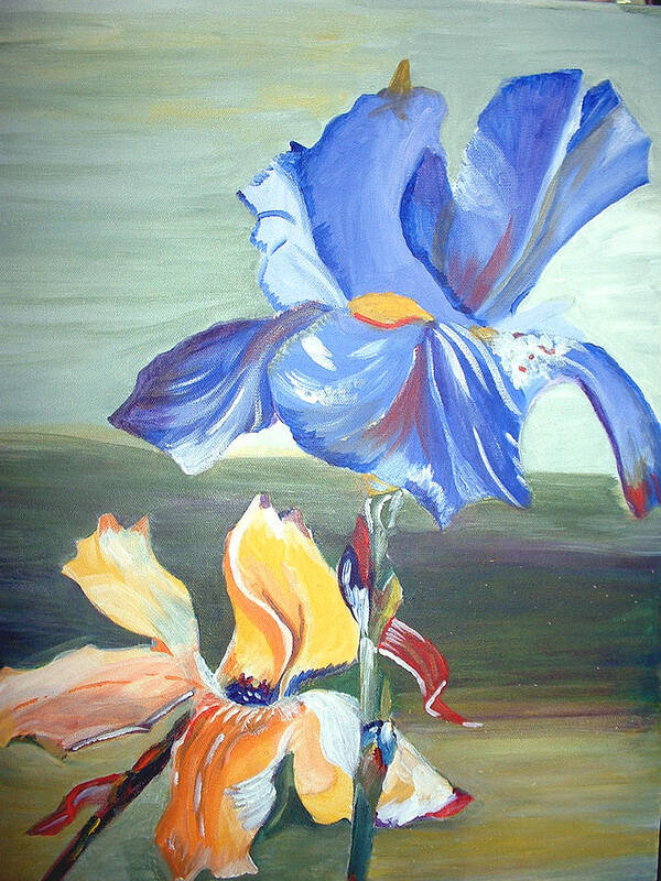 Iris Poster featuring the painting Blue and yellow Iris  by Genevieve Holland