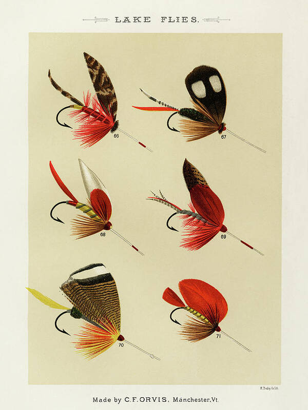 Games Poster featuring the drawing Lake Fishing Flies I from Favorite Flies and Their Histories by Mary Orvis Marbury