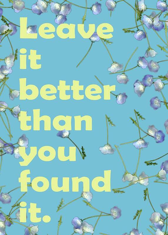 Leave It Better Than You Found It Poster featuring the digital art Leave it better than you found it - Baby Blue Eyes by Angie Tirado