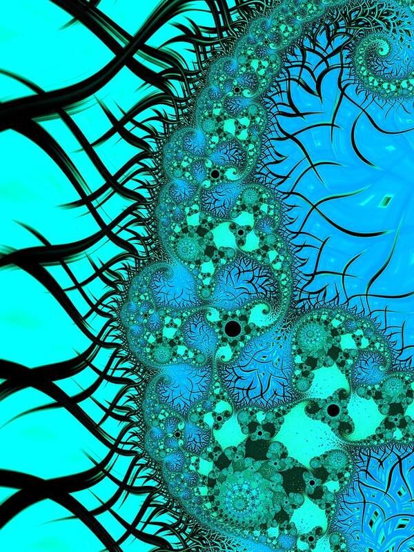 Fractal Poster featuring the digital art Let it Go #2 by Mary Ann Benoit