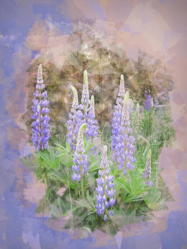 Flower Poster featuring the photograph Lupine Cluster Texture by Patti Deters