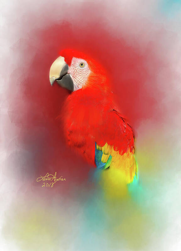 Macaw Poster featuring the digital art Macaw by Lena Auxier