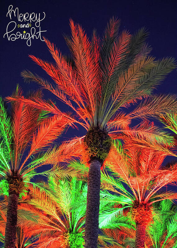 Florida Poster featuring the photograph Merry and Bright Christmas Palms by Robert Wilder Jr