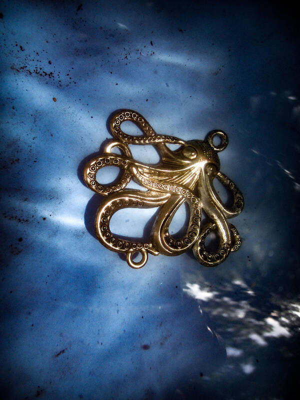 Octopus Poster featuring the photograph Metal Octopus in Water by W Craig Photography