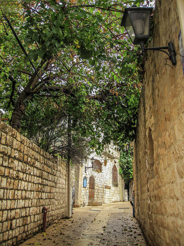 Alley Old Israel Urban City Trees Fall Poster featuring the photograph Old city alley way Israel by Alon Mandel