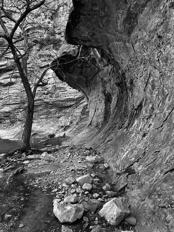 Richard E Porter Poster featuring the photograph Old Tree and Overhang 2-Sitting Bull Falls, New Mexico-Guadalupe Mountains, Lincoln National Forest by Richard Porter