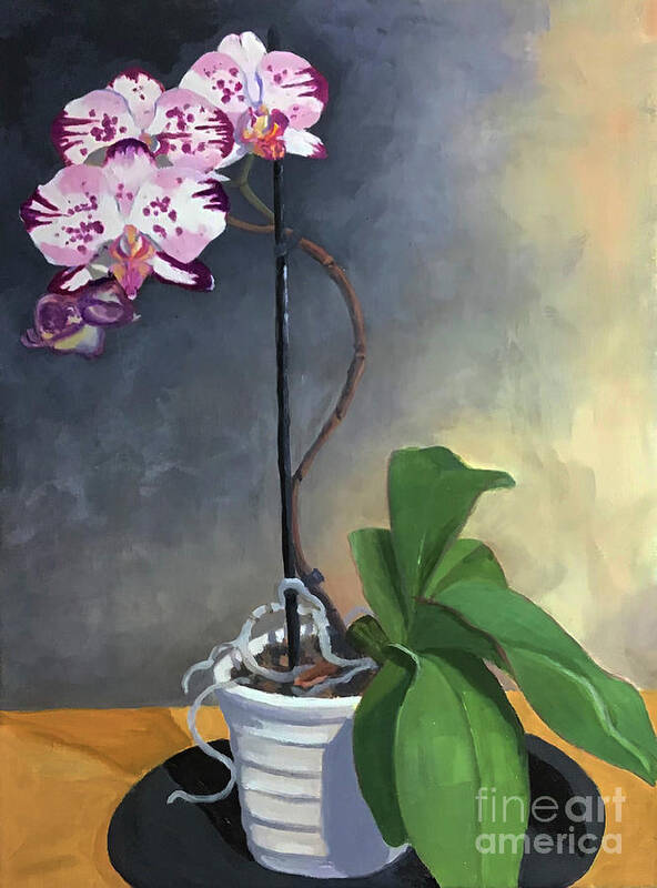 Orchid Poster featuring the painting Orchid Linda Boyd by Anne Marie Brown