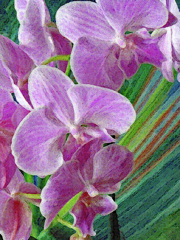 Orchid Poster featuring the photograph Orchids and Palms by Corinne Carroll