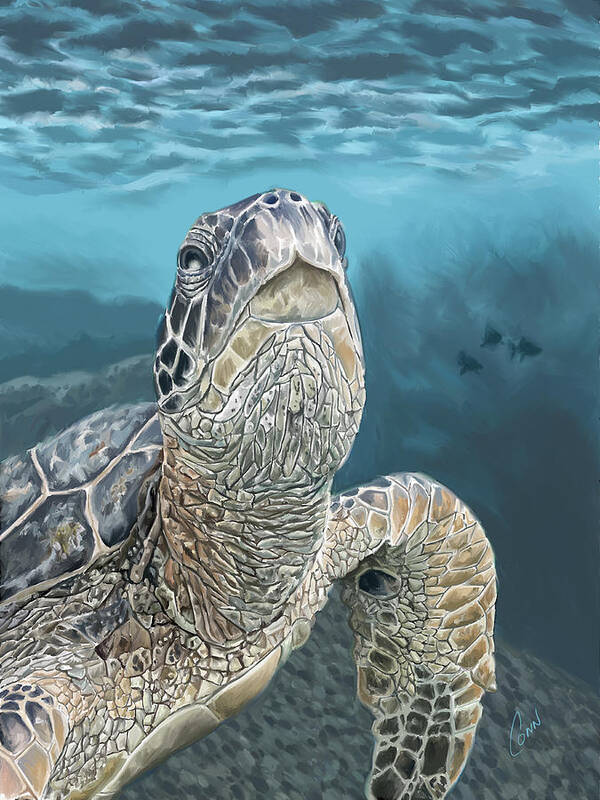 Sea Turtle Poster featuring the digital art Out For A Swim by Shawn Conn