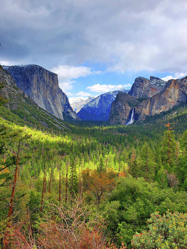 Yosemite Poster featuring the photograph Overcast Yosemite Valley by Eric Forster