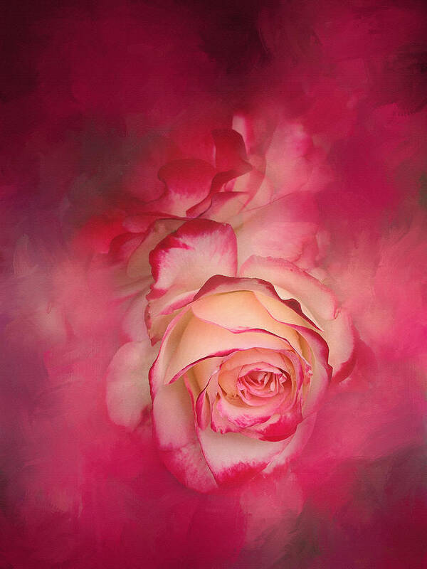 Floral Poster featuring the photograph Painted Flamenco Rose by Theresa Tahara