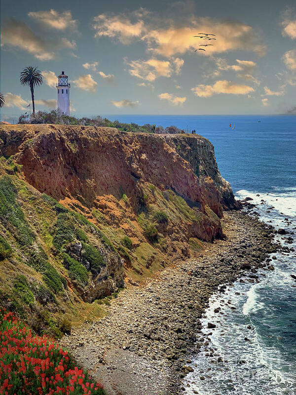 Vicente Lighthouse Poster featuring the photograph Palos Verdes Vicente Lighthouse by David Zanzinger