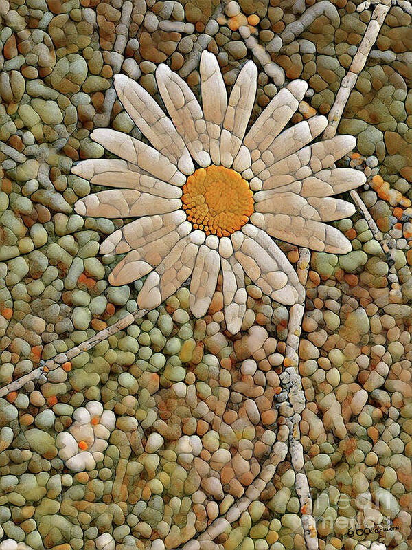 Daisy Poster featuring the digital art Pebble Daisy by Elaine Berger