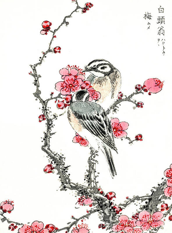 Pine Poster featuring the drawing Pine Bunting and Plum Tree by Numata Kashu