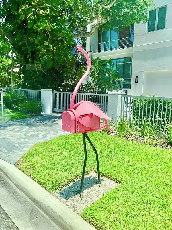 Pink Flamingo Mailbox Poster by Denise Mazzocco - Pixels