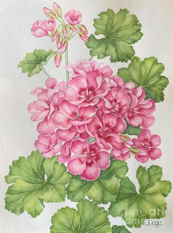 Geranium Poster featuring the painting Pink rose geranium by Inese Poga