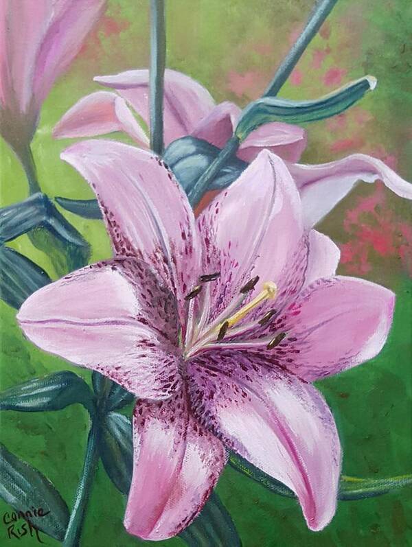 Pink Day Lily Poster featuring the painting Pink Satin Lily by Connie Rish