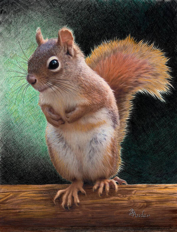Squirrel Poster featuring the drawing Please by Brent Ander