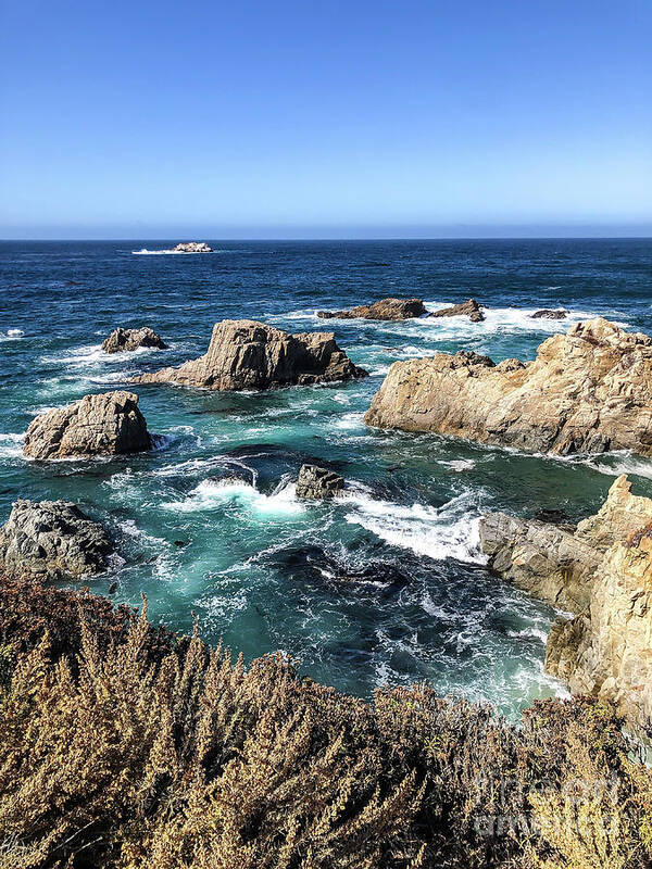 Point Lobos Poster featuring the photograph Point Lobos Cove by Colleen Kammerer