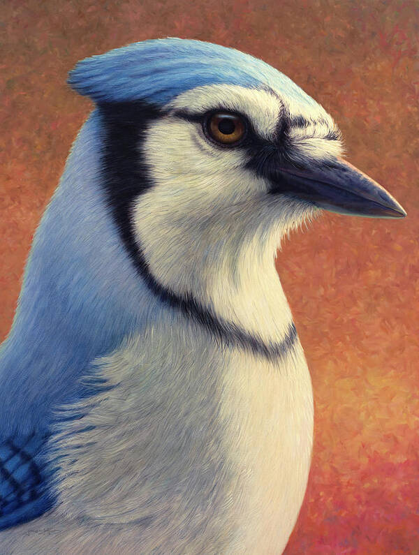 Bluejay Poster featuring the painting Portrait of a Bluejay by James W Johnson