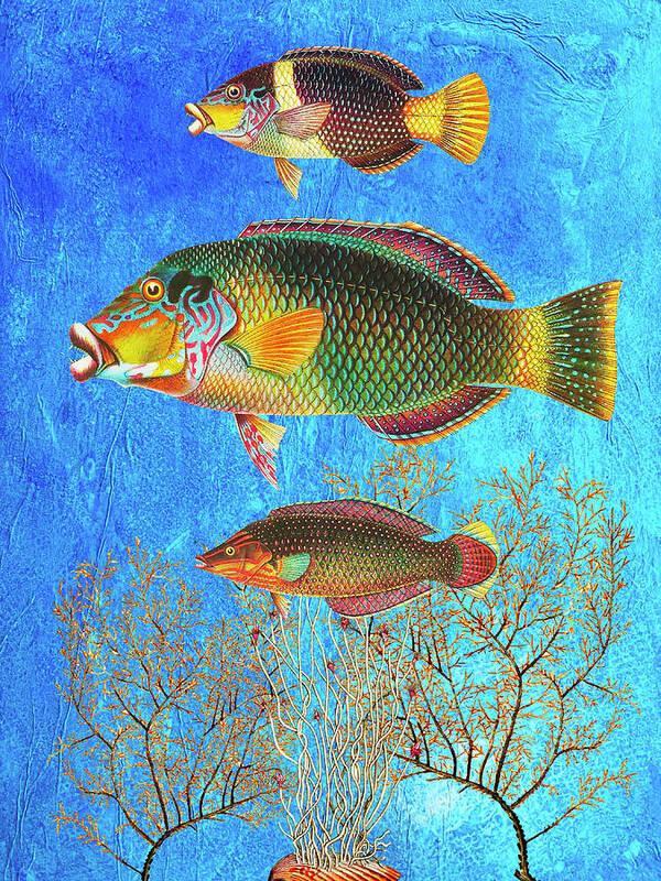 Tropical Fish Poster featuring the mixed media Portrait of Three Fish by Lorena Cassady
